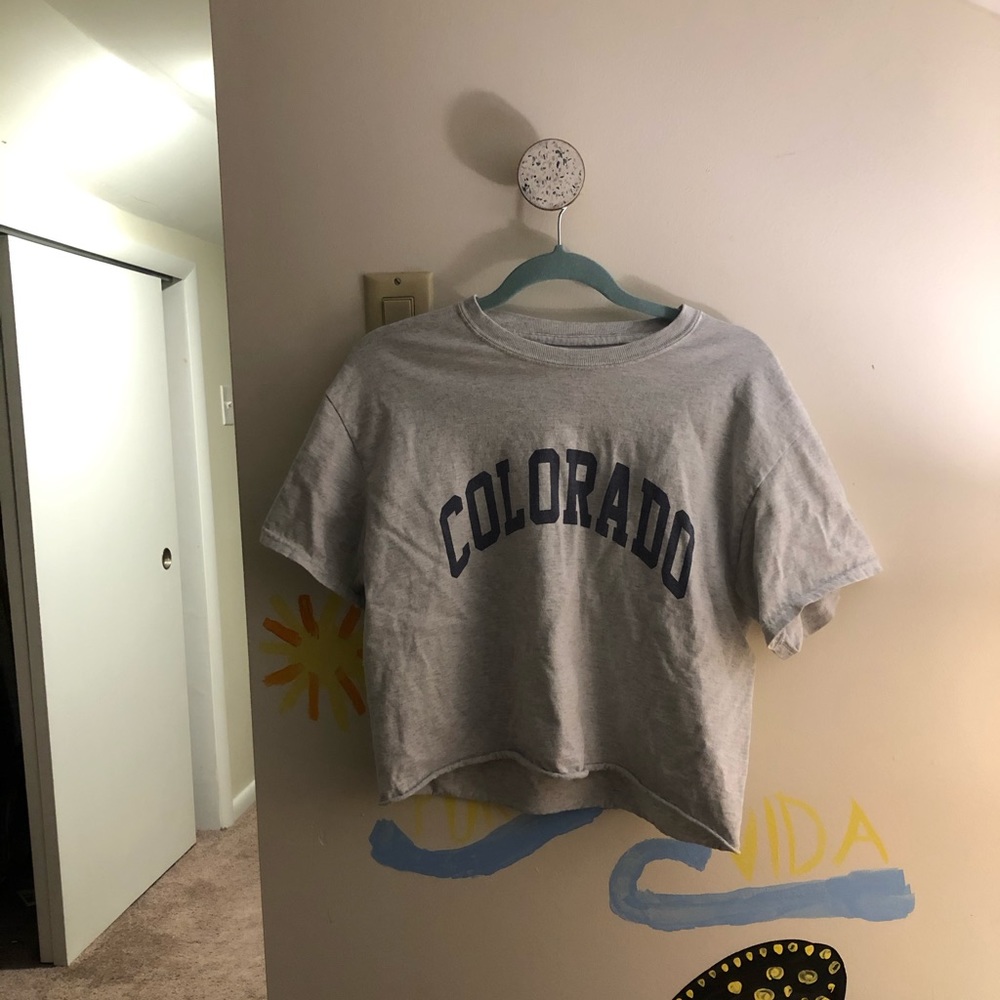 Brandy Melville Colorado Cropped T-shirt